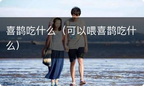 喜鹊吃什么（可以喂喜鹊吃什么）