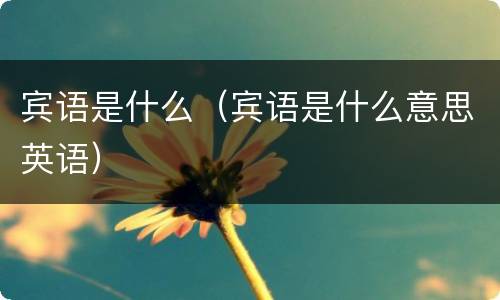 宾语是什么（宾语是什么意思英语）