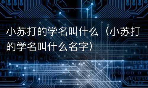 小苏打的学名叫什么（小苏打的学名叫什么名字）