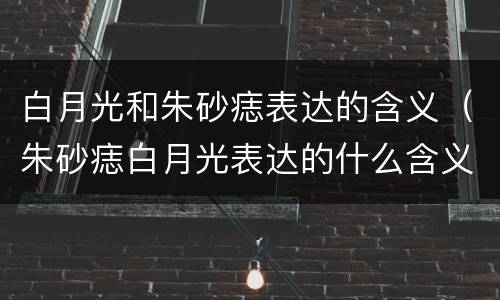 白月光和朱砂痣表达的含义（朱砂痣白月光表达的什么含义）