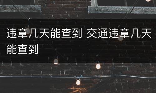 违章几天能查到 交通违章几天能查到