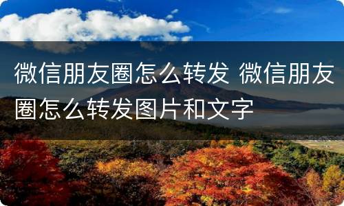 微信朋友圈怎么转发 微信朋友圈怎么转发图片和文字