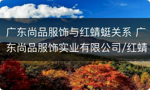 广东尚品服饰与红蜻蜓关系 广东尚品服饰实业有限公司/红蜻蜓集团
