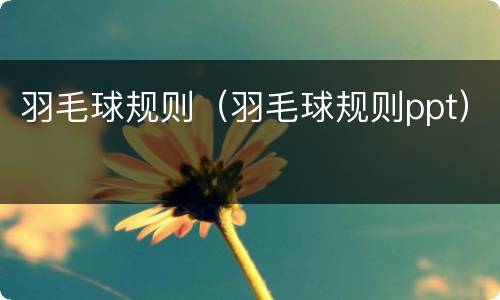 羽毛球规则（羽毛球规则ppt）