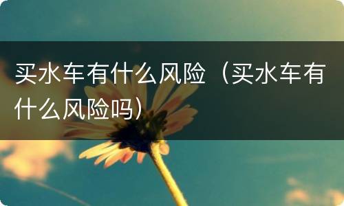 买水车有什么风险（买水车有什么风险吗）