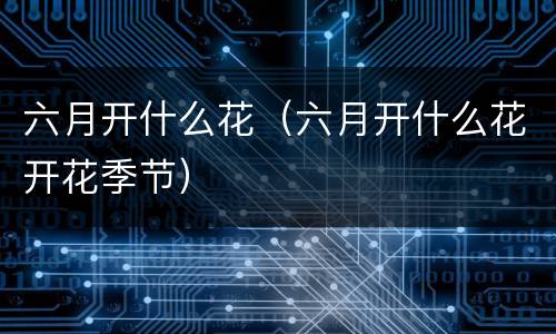 六月开什么花（六月开什么花开花季节）
