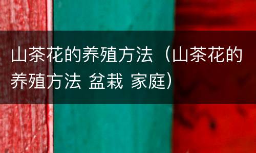 山茶花的养殖方法（山茶花的养殖方法 盆栽 家庭）