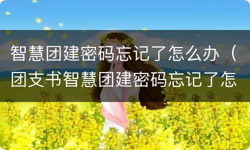 智慧团建密码忘记了怎么办（团支书智慧团建密码忘记了怎么办）