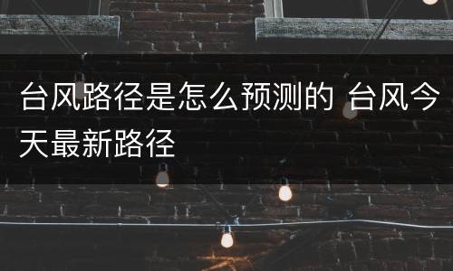 台风路径是怎么预测的 台风今天最新路径