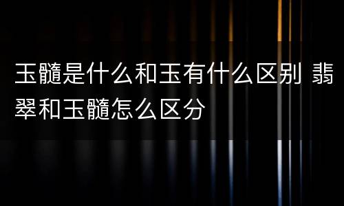 玉髓是什么和玉有什么区别 翡翠和玉髓怎么区分