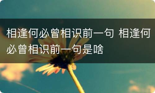 相逢何必曾相识前一句 相逢何必曾相识前一句是啥