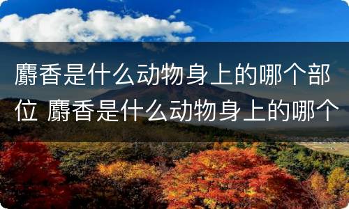 麝香是什么动物身上的哪个部位 麝香是什么动物身上的哪个部位有什么作用