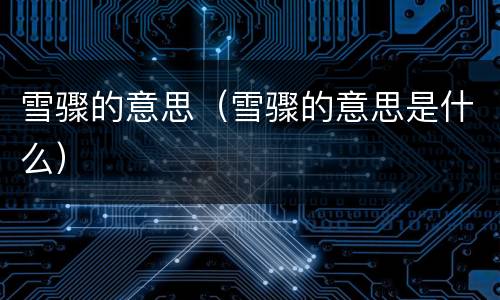 雪骤的意思（雪骤的意思是什么）