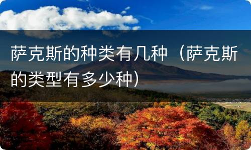 萨克斯的种类有几种（萨克斯的类型有多少种）