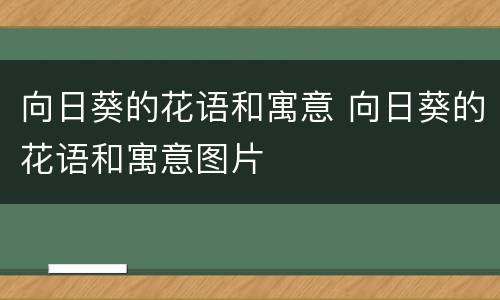 向日葵的花语和寓意 向日葵的花语和寓意图片