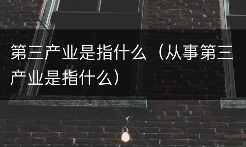 第三产业是指什么（从事第三产业是指什么）