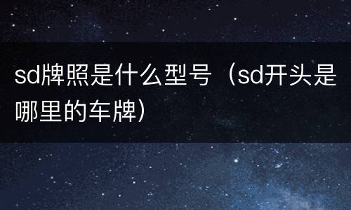 sd牌照是什么型号（sd开头是哪里的车牌）