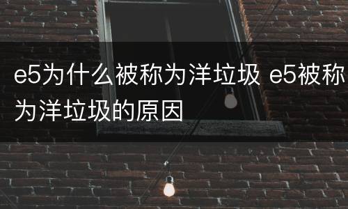 e5为什么被称为洋垃圾 e5被称为洋垃圾的原因