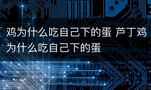 鸡为什么吃自己下的蛋 芦丁鸡为什么吃自己下的蛋
