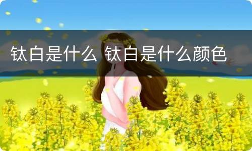 钛白是什么 钛白是什么颜色