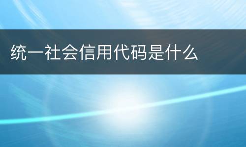 统一社会信用代码是什么