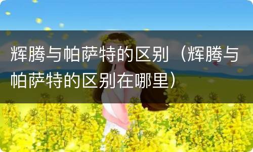 辉腾与帕萨特的区别（辉腾与帕萨特的区别在哪里）