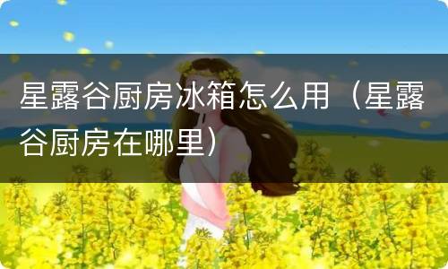 星露谷厨房冰箱怎么用（星露谷厨房在哪里）
