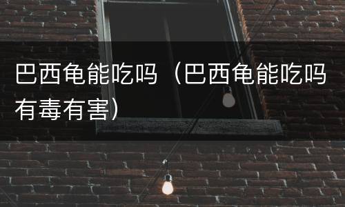 巴西龟能吃吗（巴西龟能吃吗有毒有害）