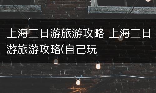 上海三日游旅游攻略 上海三日游旅游攻略(自己玩