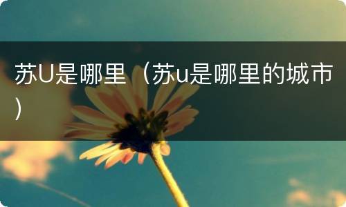 苏U是哪里（苏u是哪里的城市）