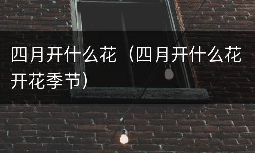 四月开什么花（四月开什么花开花季节）