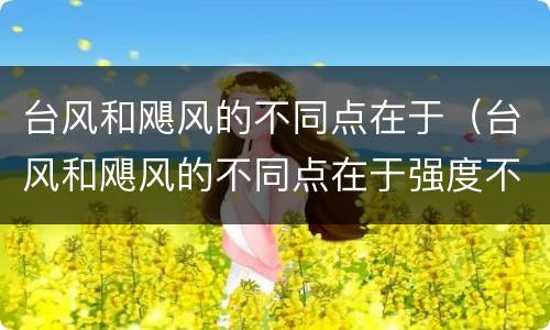 台风和飓风的不同点在于（台风和飓风的不同点在于强度不同）