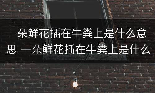 一朵鲜花插在牛粪上是什么意思 一朵鲜花插在牛粪上是什么意思啊