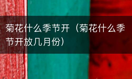 菊花什么季节开（菊花什么季节开放几月份）