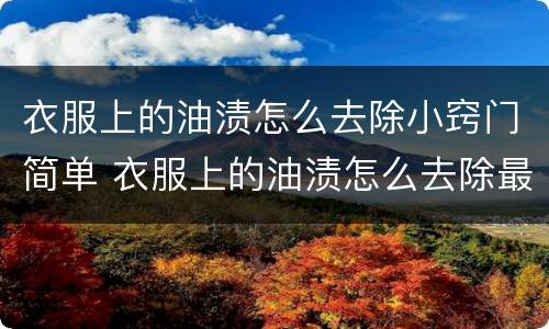 衣服上的油渍怎么去除小窍门简单 衣服上的油渍怎么去除最有效