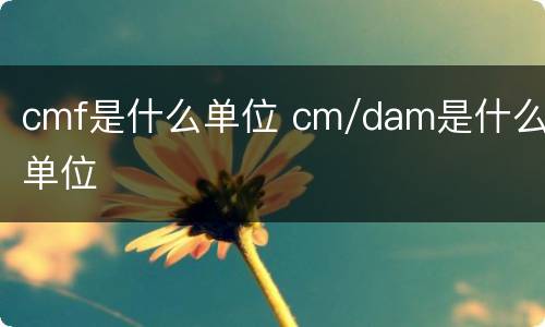 cmf是什么单位 cm/dam是什么单位