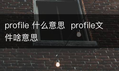 profile 什么意思  profile文件啥意思
