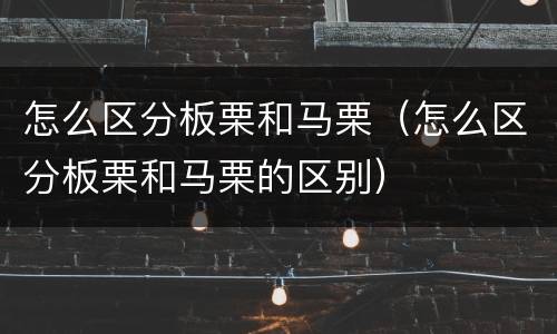 怎么区分板栗和马栗（怎么区分板栗和马栗的区别）