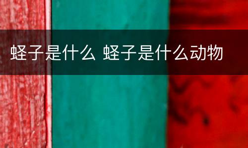 蛏子是什么 蛏子是什么动物