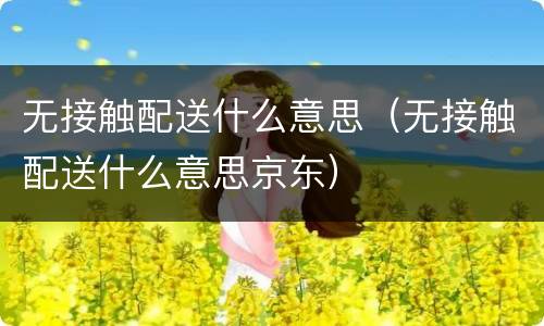 无接触配送什么意思（无接触配送什么意思京东）