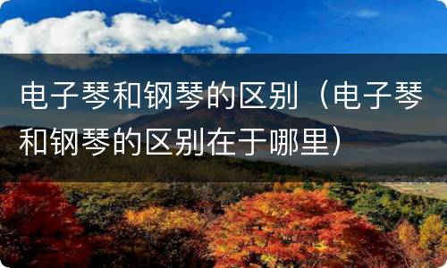 电子琴和钢琴的区别（电子琴和钢琴的区别在于哪里）