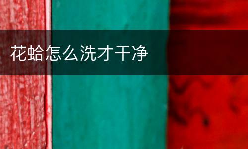 花蛤怎么洗才干净