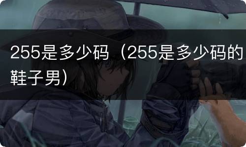 255是多少码（255是多少码的鞋子男）