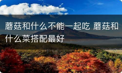 蘑菇和什么不能一起吃 蘑菇和什么菜搭配最好