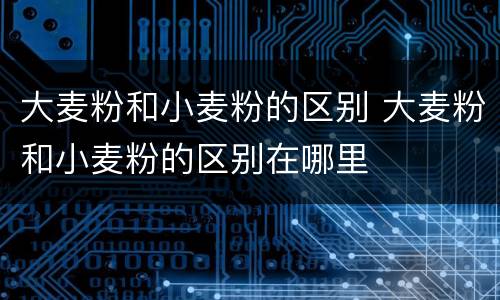 大麦粉和小麦粉的区别 大麦粉和小麦粉的区别在哪里