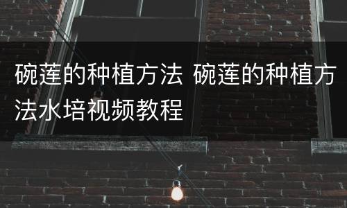 碗莲的种植方法 碗莲的种植方法水培视频教程