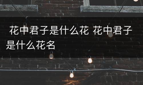  花中君子是什么花 花中君子是什么花名