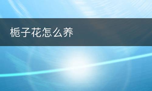  栀子花怎么养