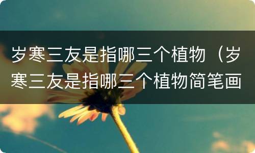 岁寒三友是指哪三个植物（岁寒三友是指哪三个植物简笔画）
