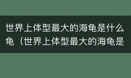 世界上体型最大的海龟是什么龟（世界上体型最大的海龟是什么龟?）